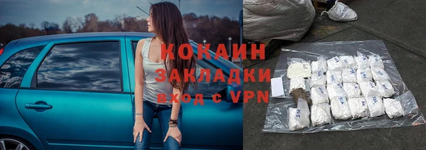 сатива Дмитровск