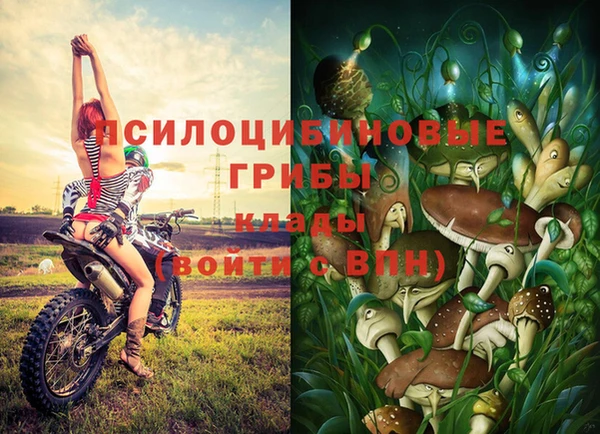 герыч Дмитров