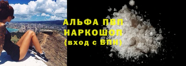 сатива Дмитровск