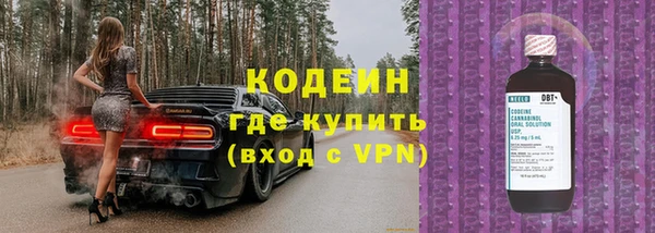сатива Дмитровск