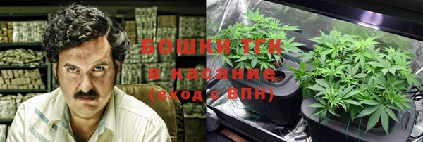 сатива Дмитровск