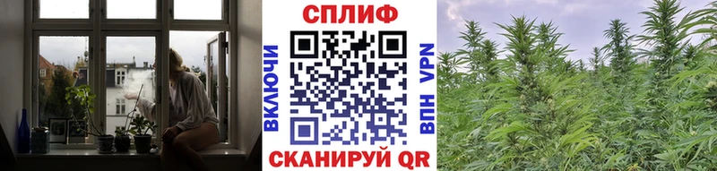 Шишки марихуана MAZAR  Купить закладки  Истра 